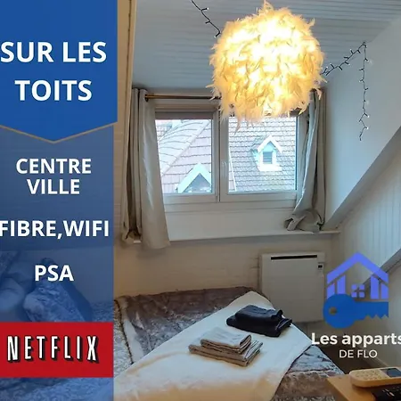 Sur Les Toits, Studio Centre-Ville, Wifi Netflix Montbéliard Exterior foto